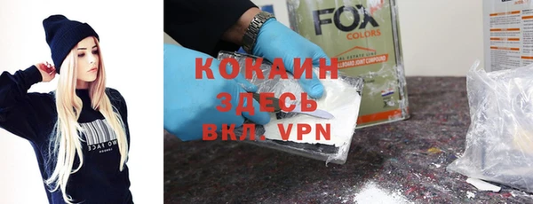 ПСИЛОЦИБИНОВЫЕ ГРИБЫ Арсеньев