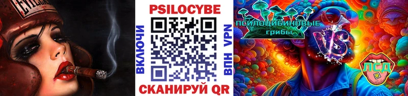 Псилоцибиновые грибы Cubensis  Тетюши 